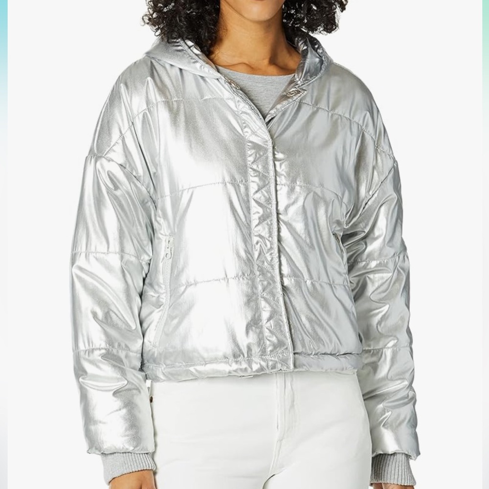 Splendid Silver Cropped Puffer Jacket with Hood
